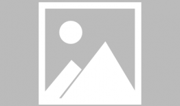 蝙蝠女漫画,黑暗中的守护者传奇